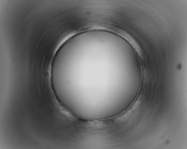 X0000102471198200808221635