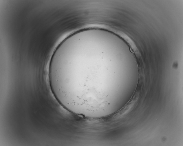 X0000102471199200808221635
