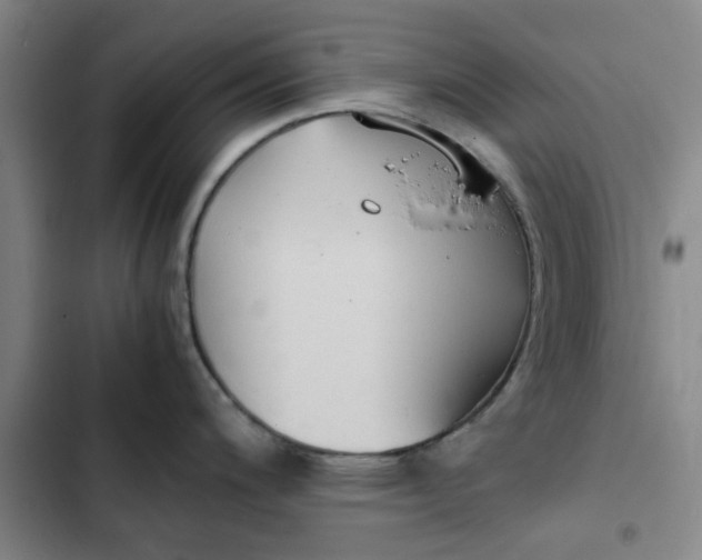 X0000102471200200808221635