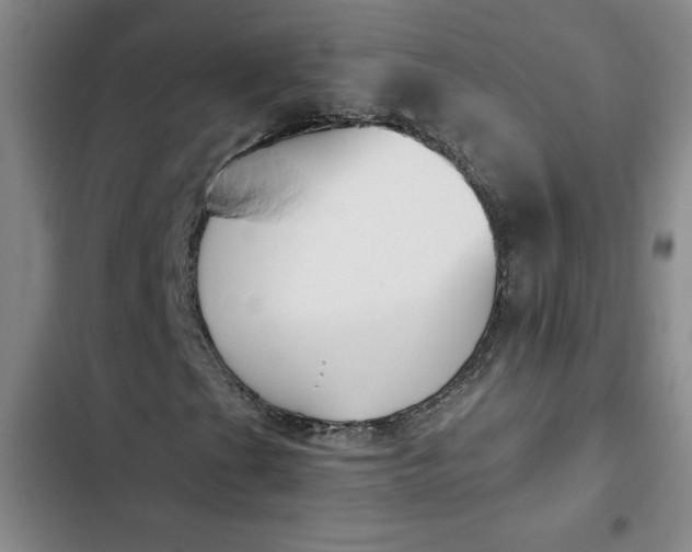 X0000102471201200808221635