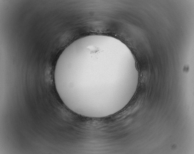 X0000102471202200808221635