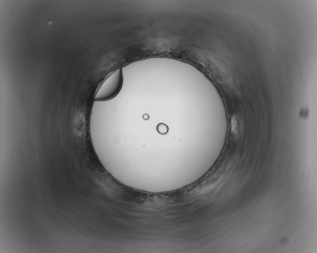 X0000102471203200808221635