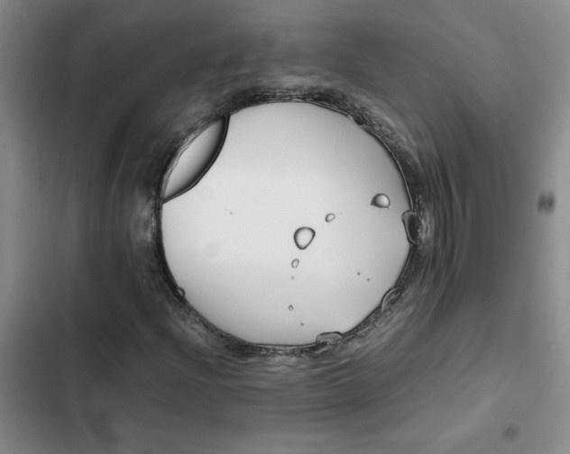 X0000102471204200808221635