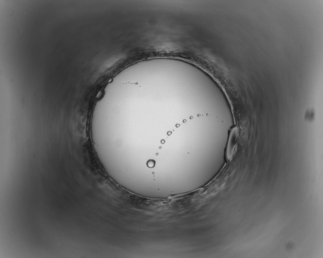 X0000102471205200808221635