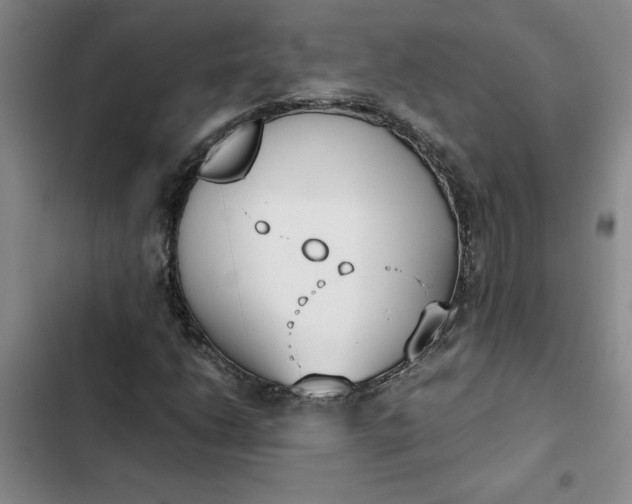 X0000102471206200808221635