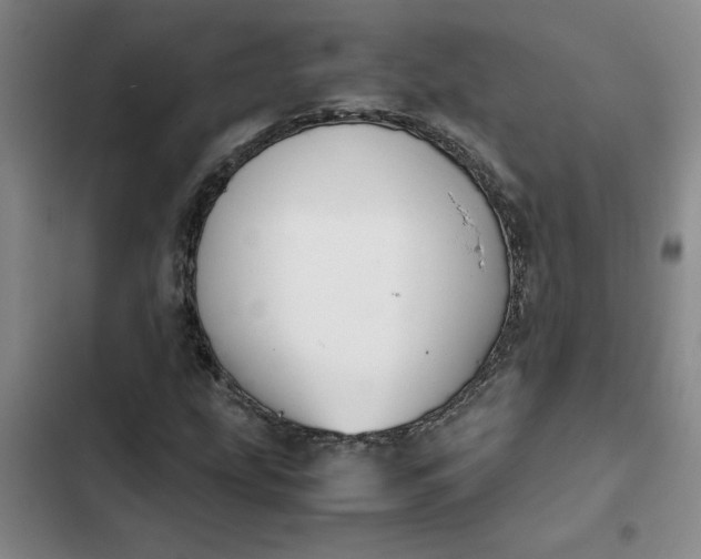 X0000102471207200808221635