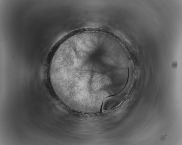 X0000102471208200808221635