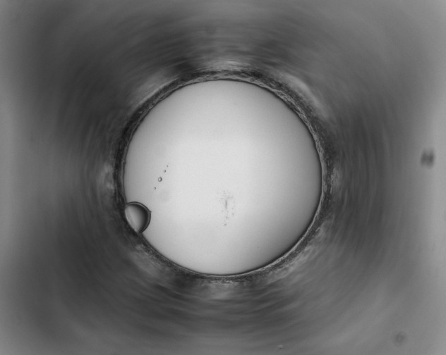 X0000102471209200808221635