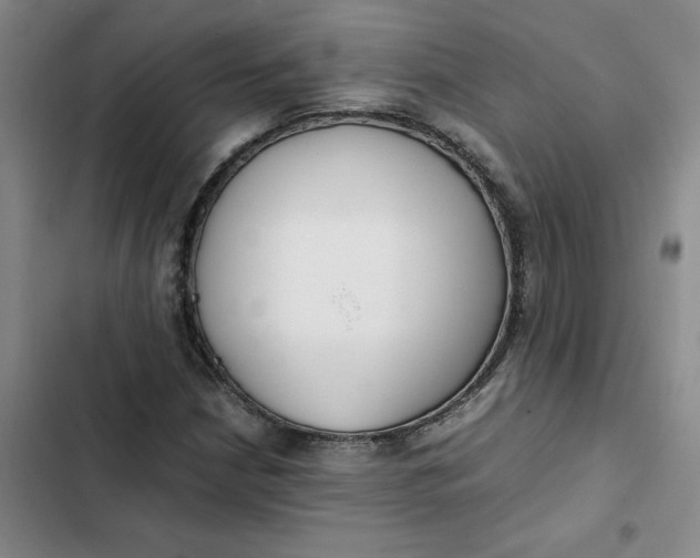 X0000102471210200808221635