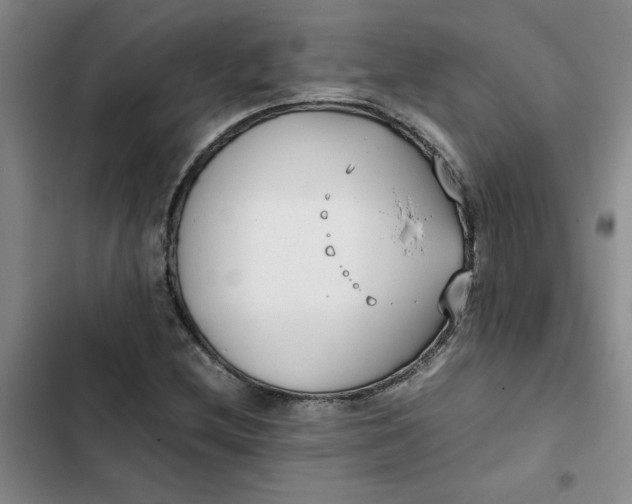 X0000102471212200808221635