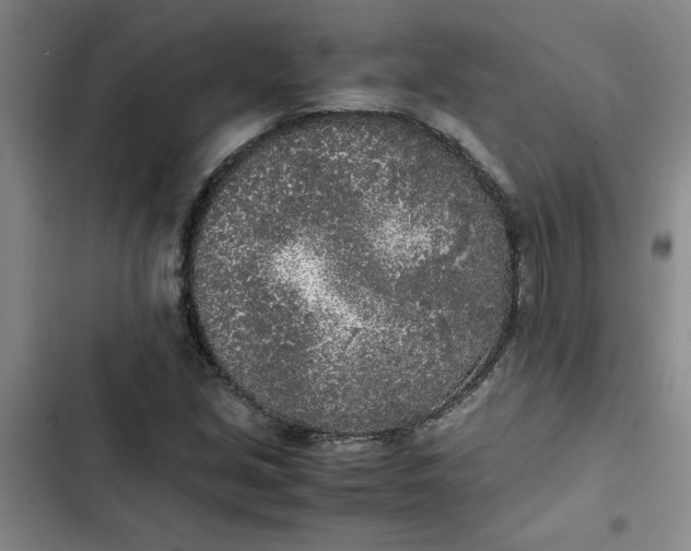 X0000102471213200808221635
