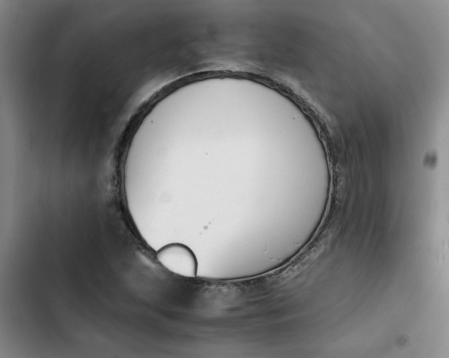 X0000102471215200808221635