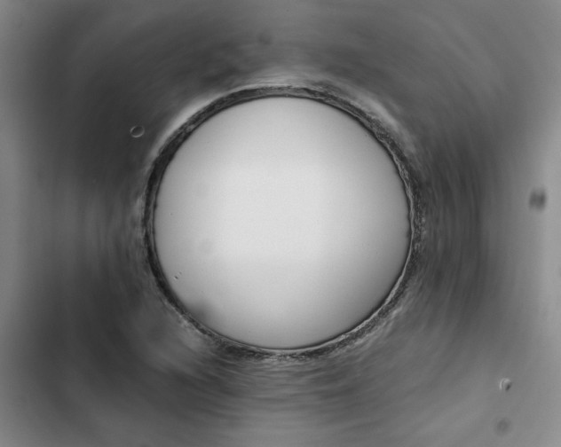 X0000102471216200808221635