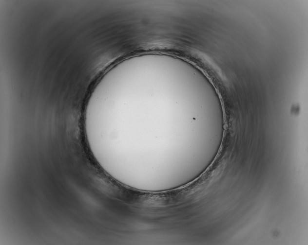 X0000102471217200808221635