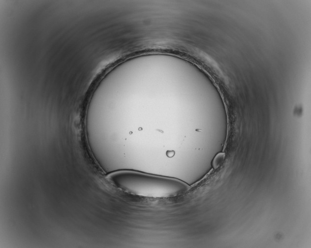 X0000102471218200808221635