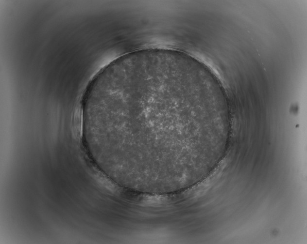 X0000102471219200808221635