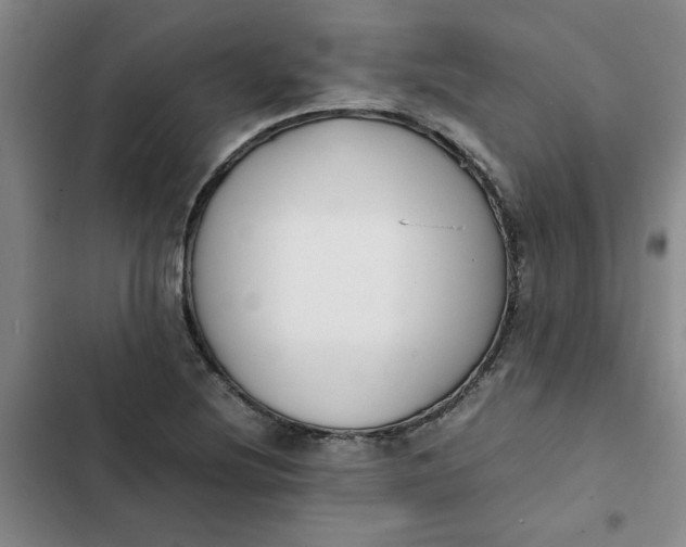 X0000102471220200808221635