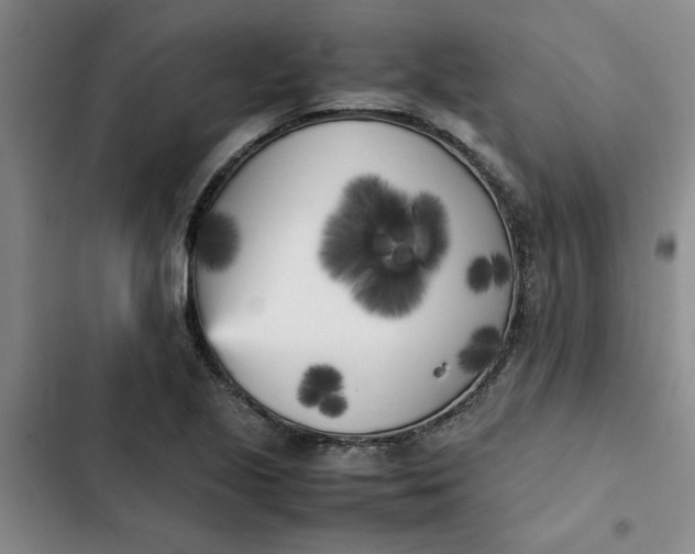 X0000102471221200808221635