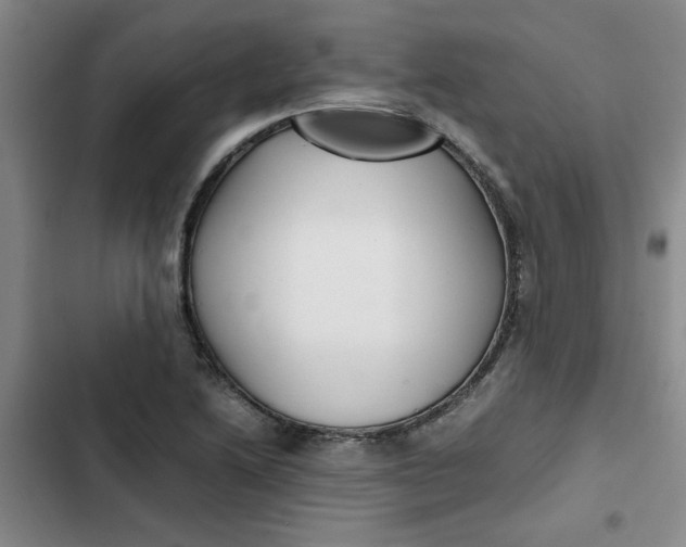 X0000102471222200808221635