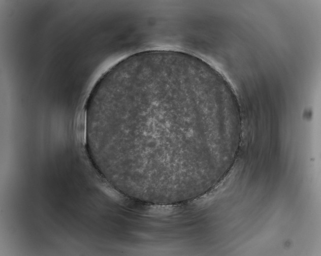 X0000102471223200808221635
