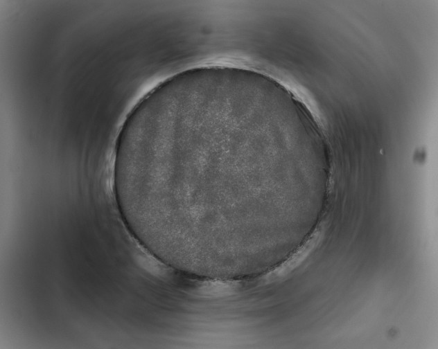 X0000102471224200808221635