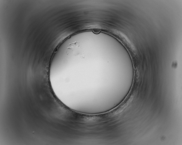 X0000102471225200808221635