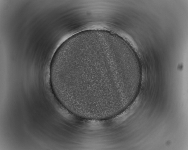 X0000102471226200808221635
