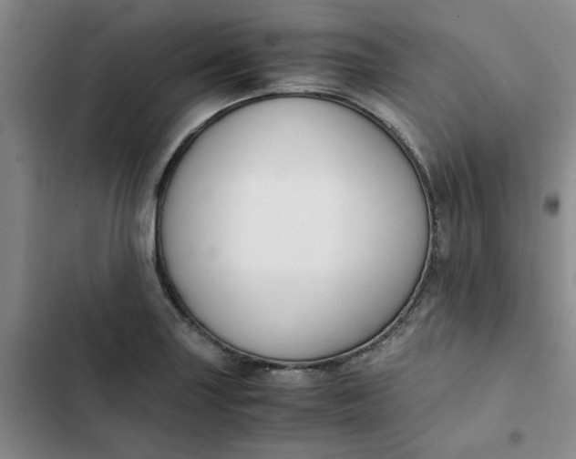 X0000102471227200808221635