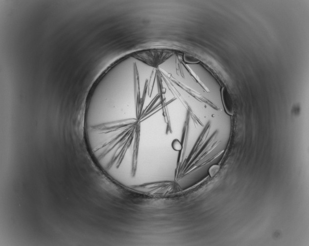 X0000102471228200808221635