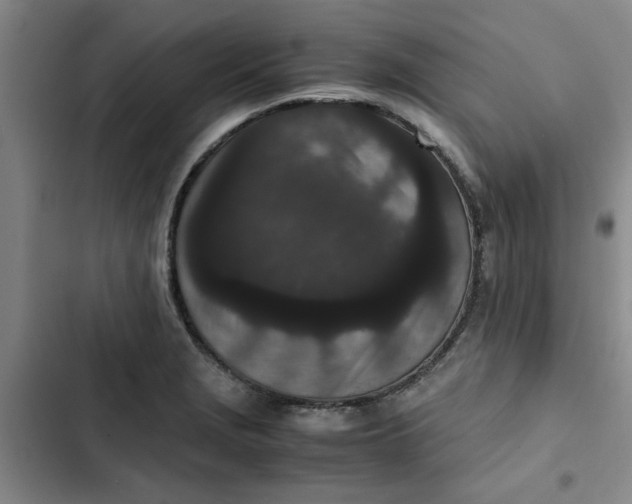 X0000102471229200808221635