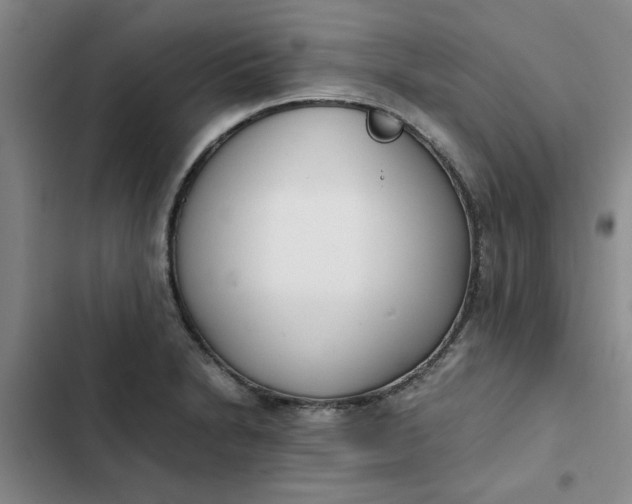 X0000102471230200808221635