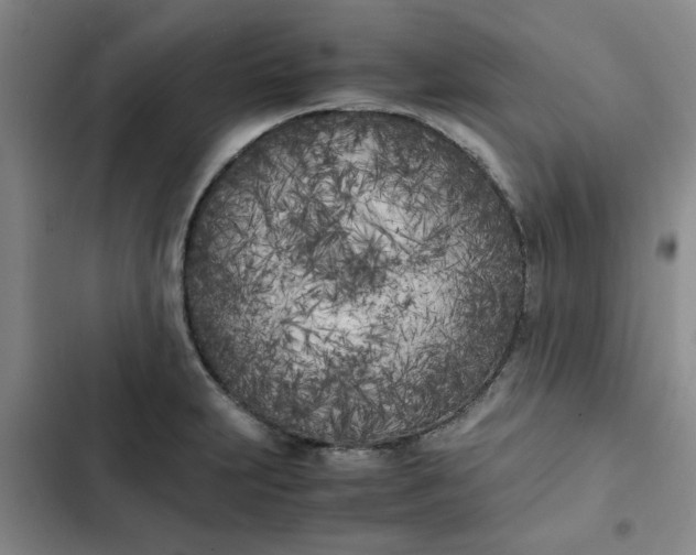 X0000102471231200808221635