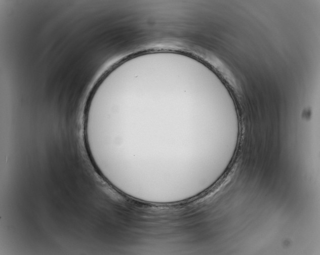 X0000102471232200808221635