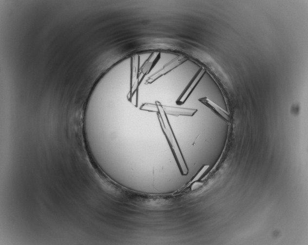 X0000102471233200808221635