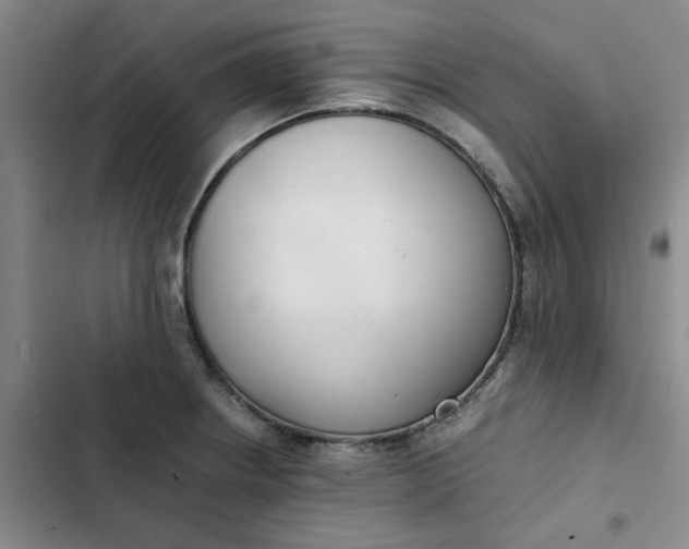 X0000102471234200808221635