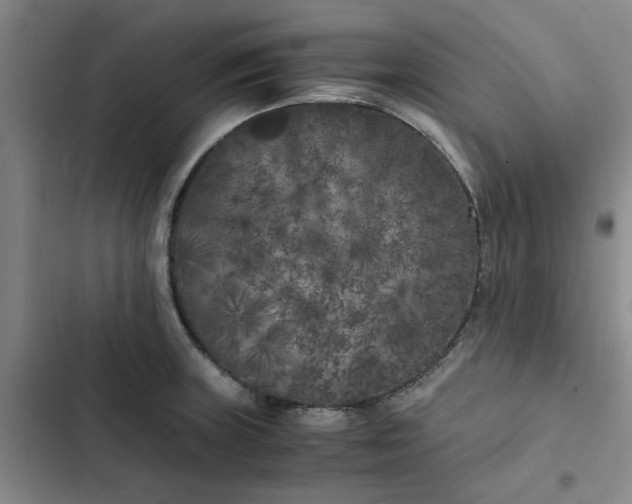 X0000102471235200808221635