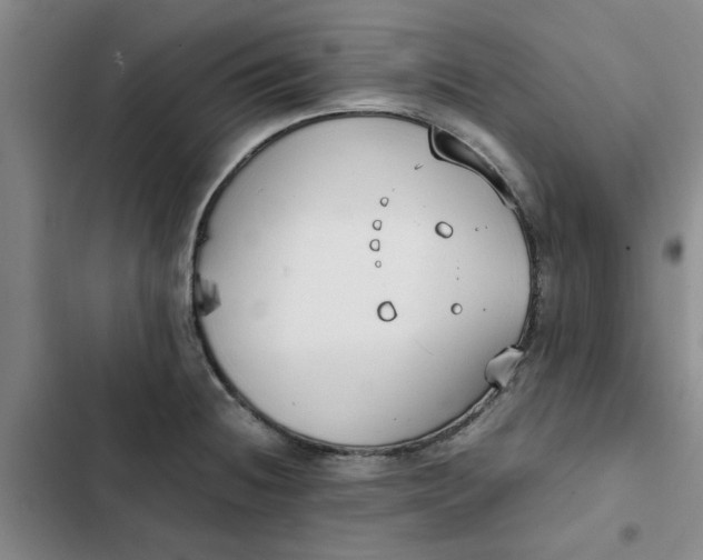 X0000102471236200808221635