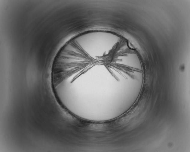 X0000102471237200808221635