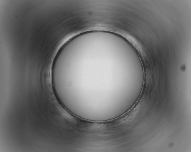 X0000102471238200808221635