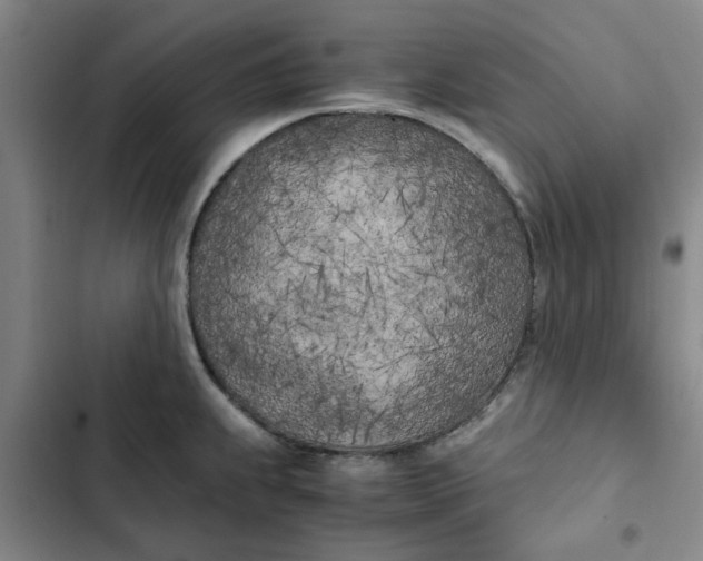 X0000102471239200808221635