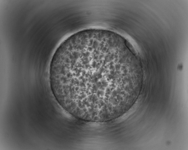 X0000102471240200808221635
