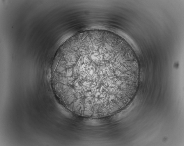 X0000102471241200808221635