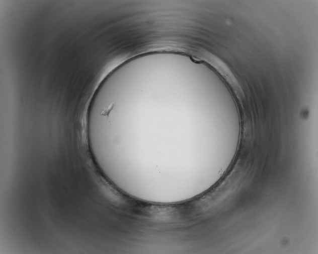X0000102471242200808221635