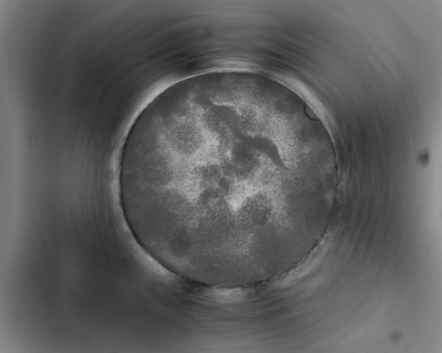 X0000102471243200808221635