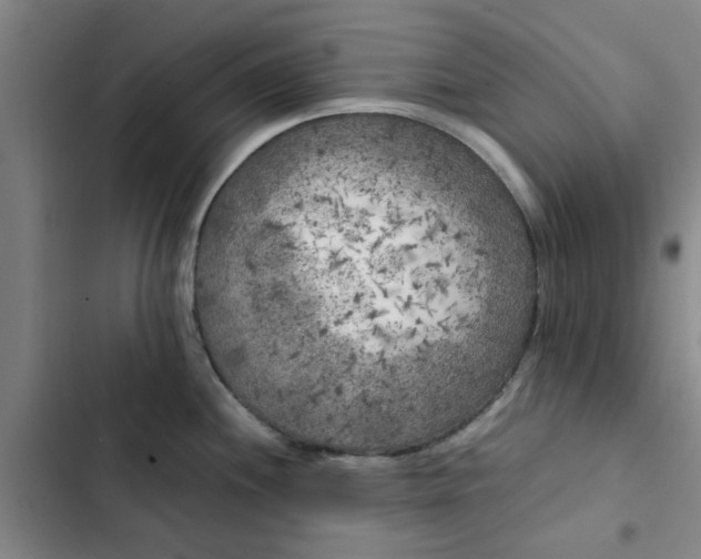 X0000102471244200808221635