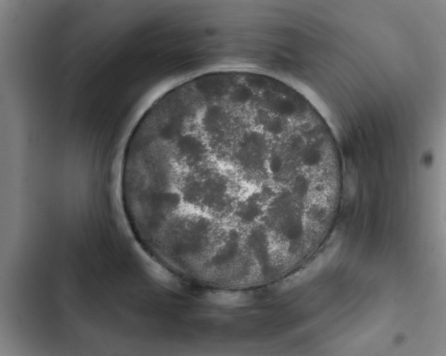 X0000102471245200808221635