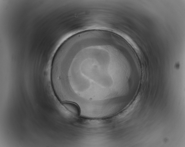 X0000102471246200808221635