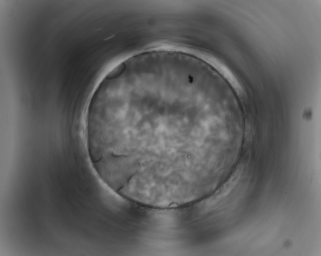 X0000102471247200808221635