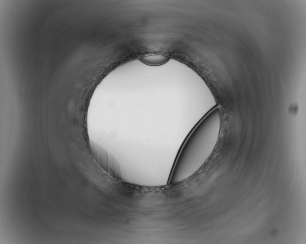 X0000102471249200808221635