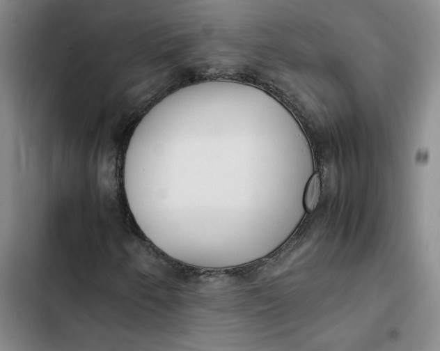 X0000102471250200808221635